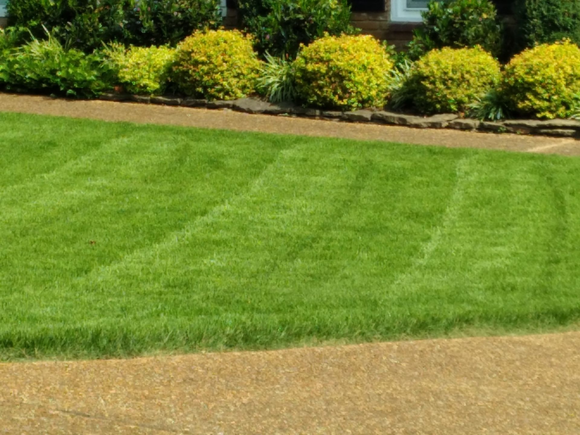 Lush Striped Lawn — Collierville, TN — Serene Scenes Lawn and Landscape