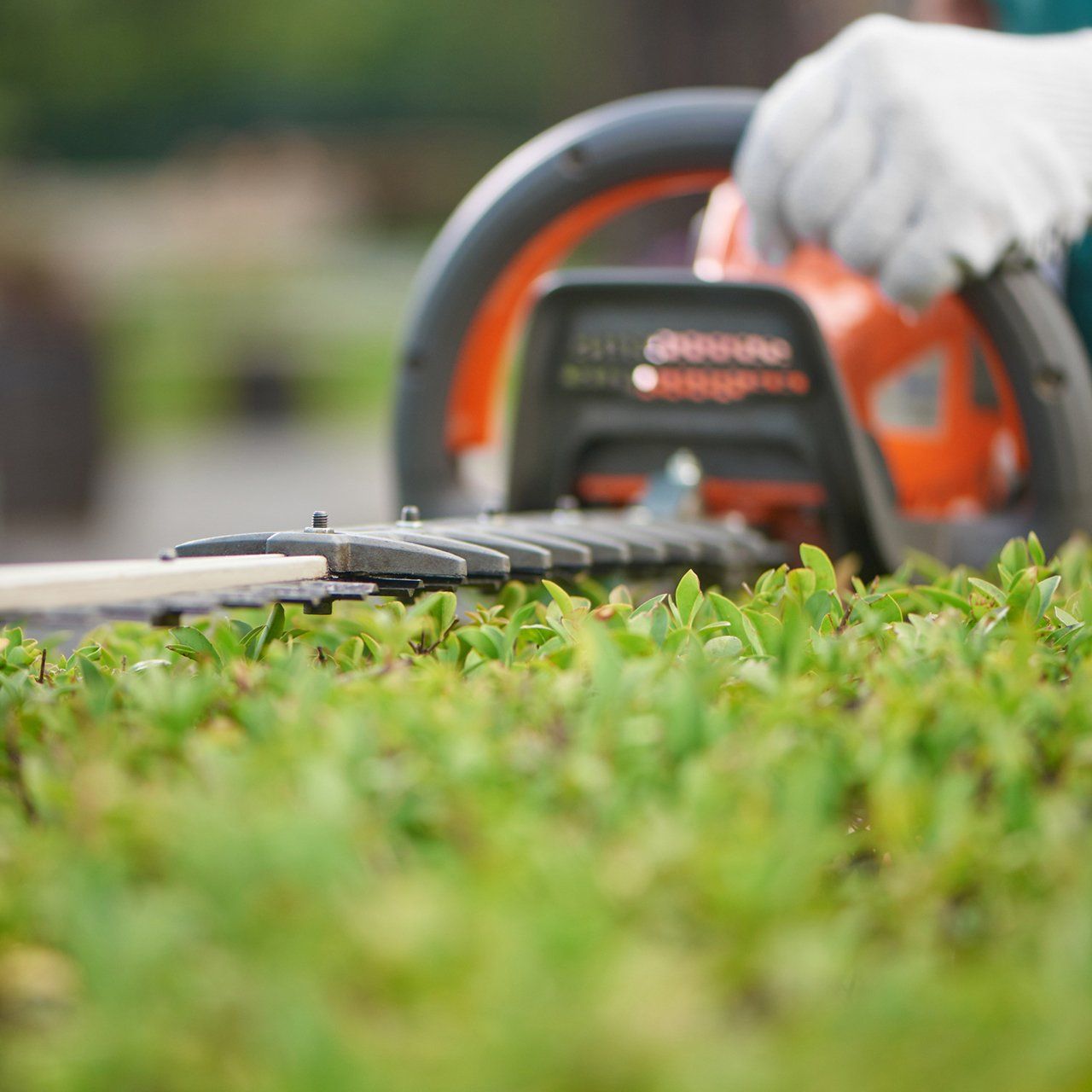 Hedge Trimmer Cutting Bushes — Memphis, TN — Serene Scenes Lawn and Landscape