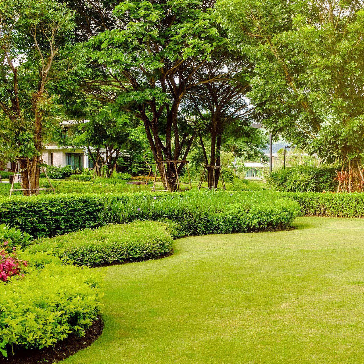 Green Lawn Designed Garden — Memphis, TN — Serene Scenes Lawn and Landscape