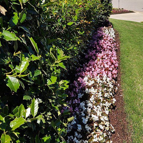 Green Lawn Designed Garden — Memphis, TN — Serene Scenes Lawn and Landscape