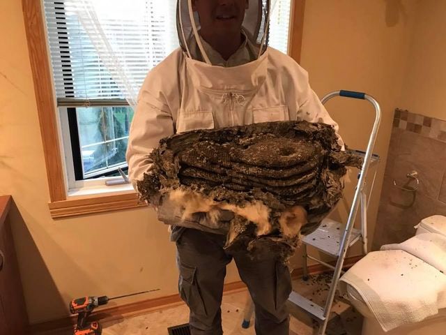 SECUR Extermination Inc. photo 9