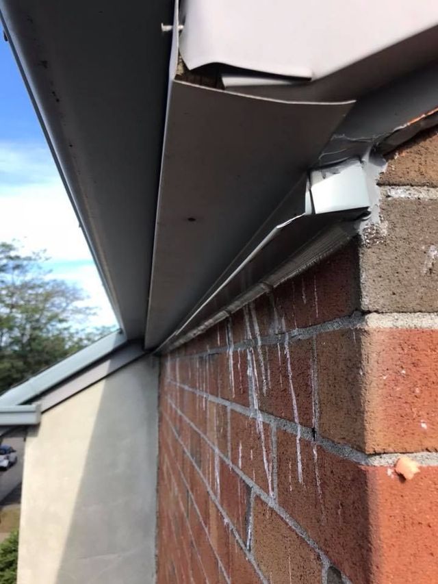 SECUR Extermination Inc. photo 7