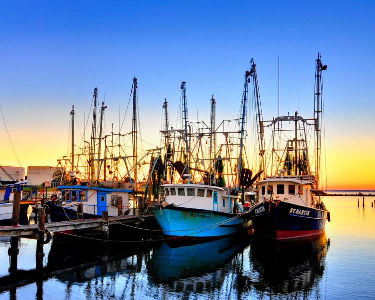 Fishing boats docked at harbor during sunset, silhouetted masts, colorful hues in the sky.