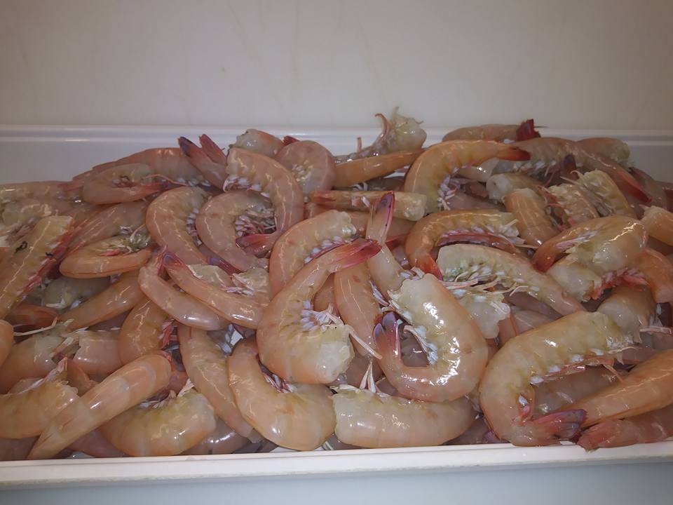 Raw, pink shrimp piled in a white tray.
