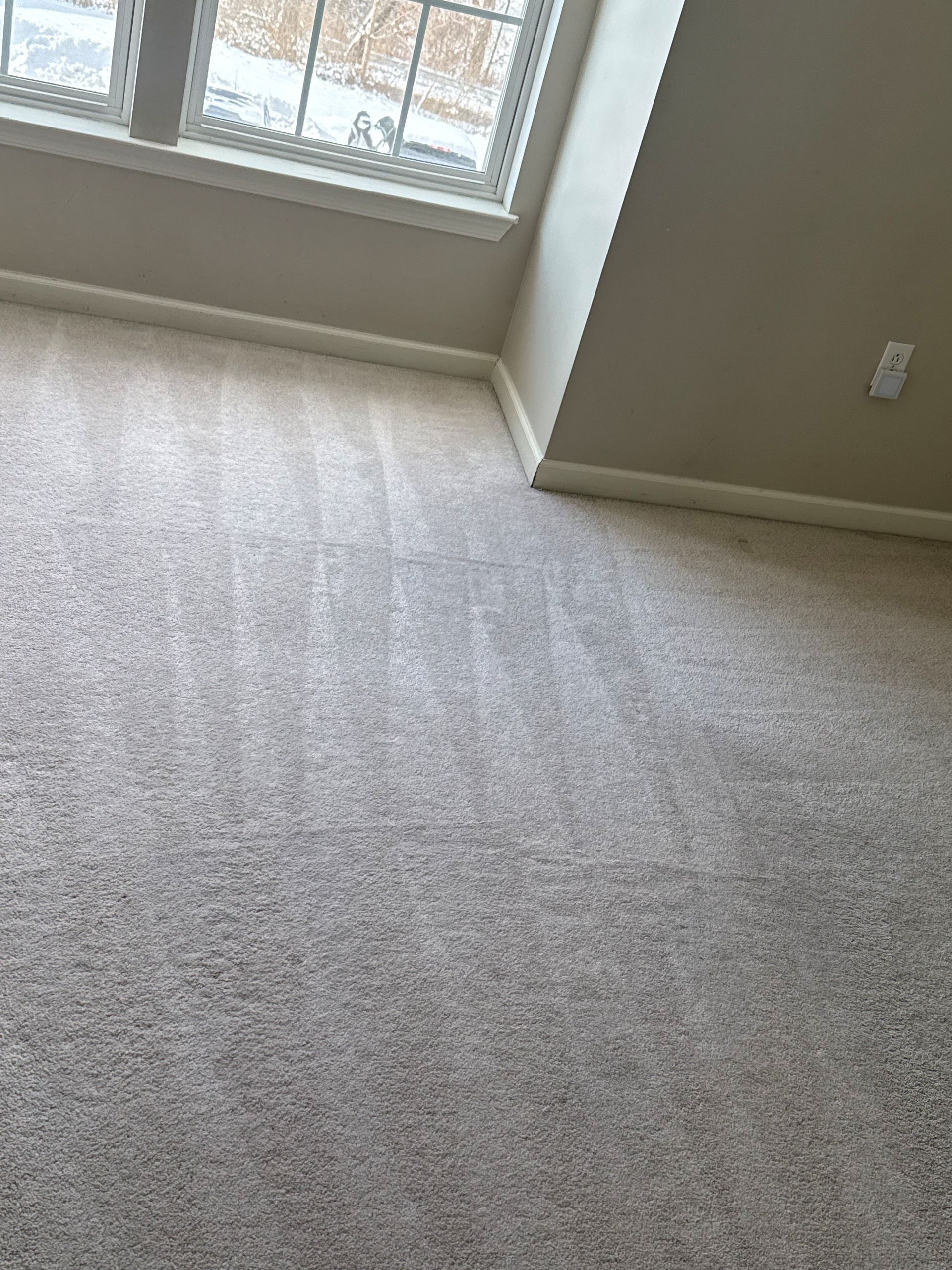 Beige carpet in a room with a window at the top, beige walls, and white trim.