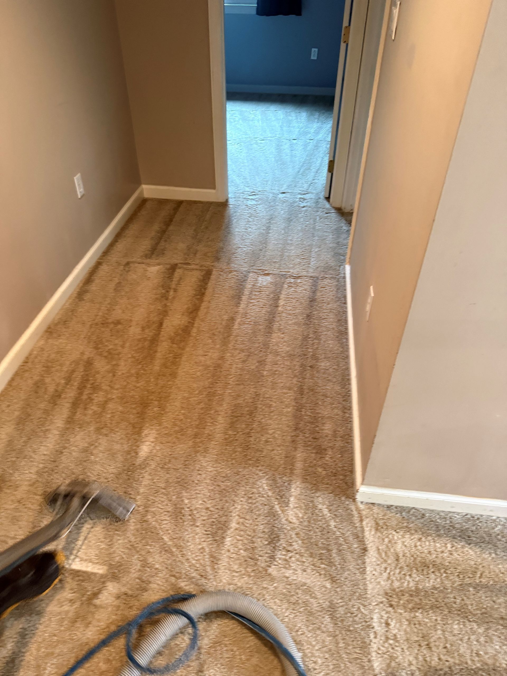 A hallway with beige walls and carpet being cleaned with a vacuum.