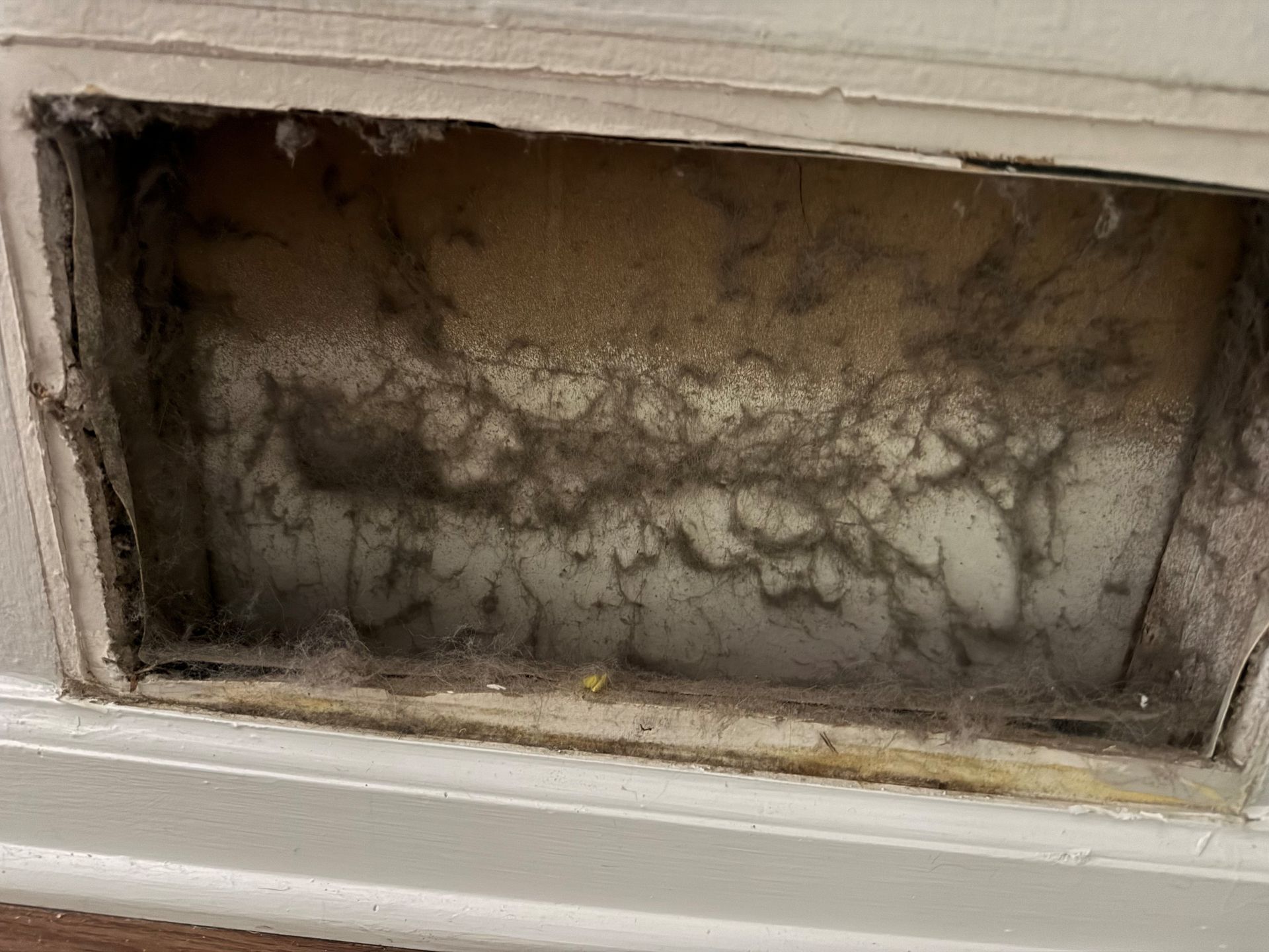 Dirty air vent covered in dust and debris.