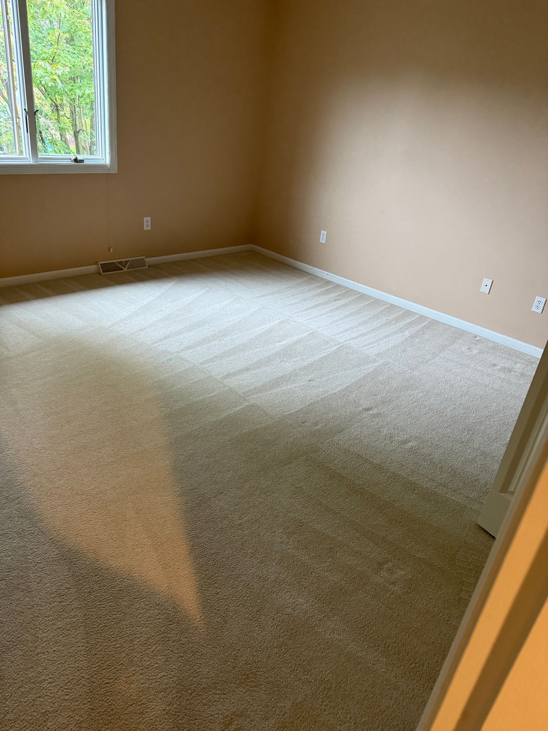 Empty room with beige carpet and walls, a window, and a white door frame.