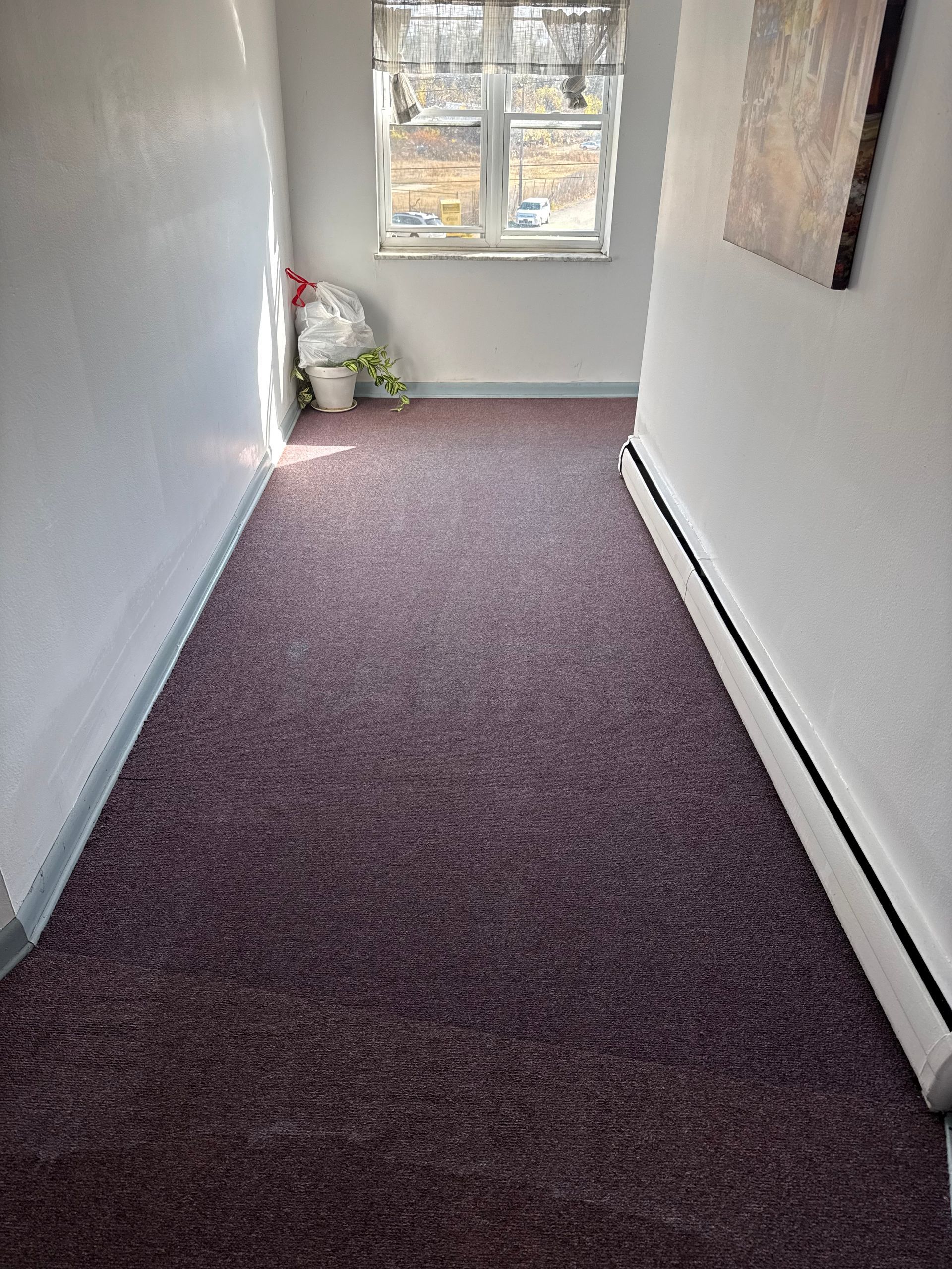 Narrow hallway with dark purple carpet, a window at the end, and a painting on the wall.