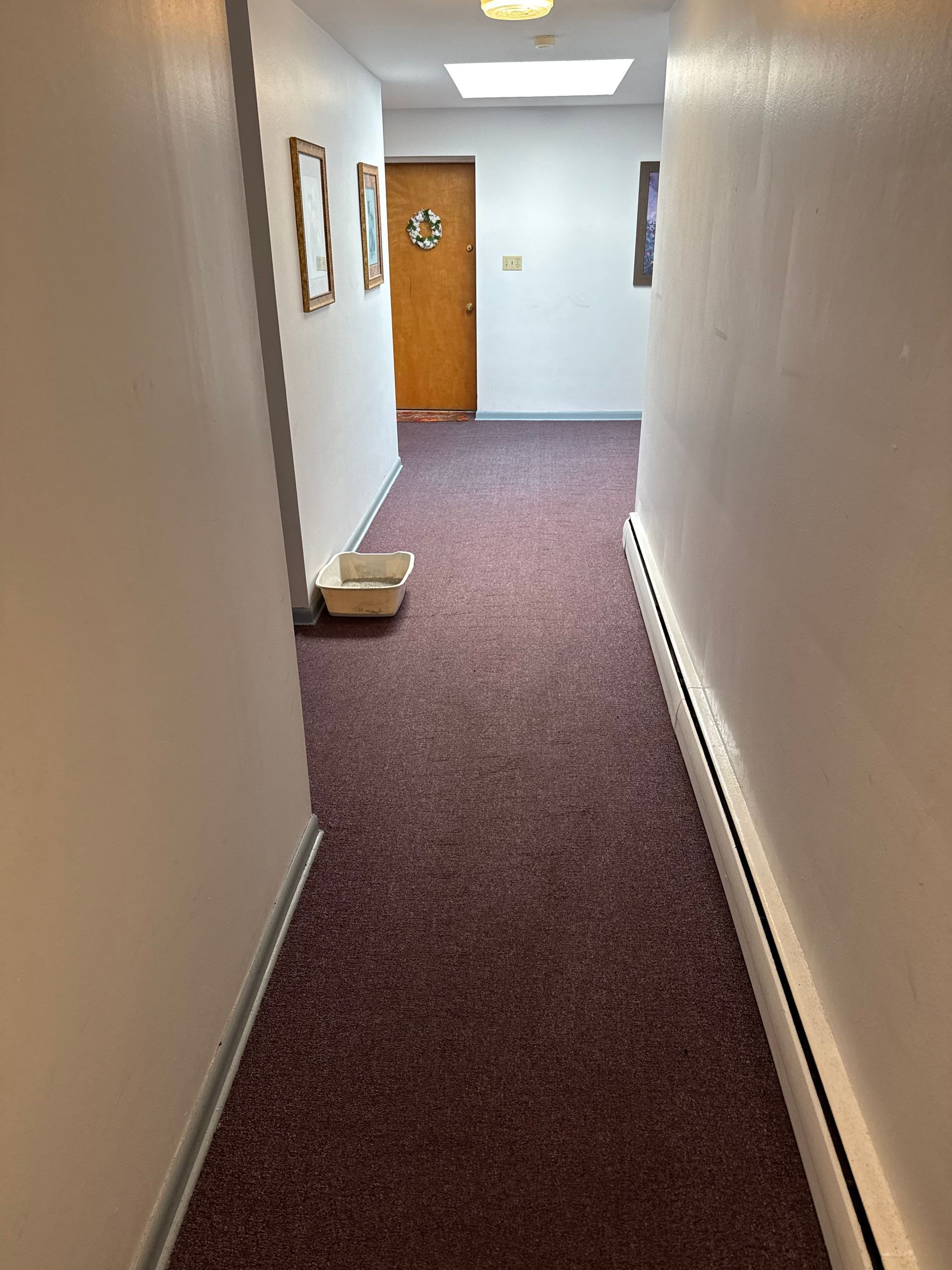 Narrow hallway with purple carpet, white walls, and a door at the end.