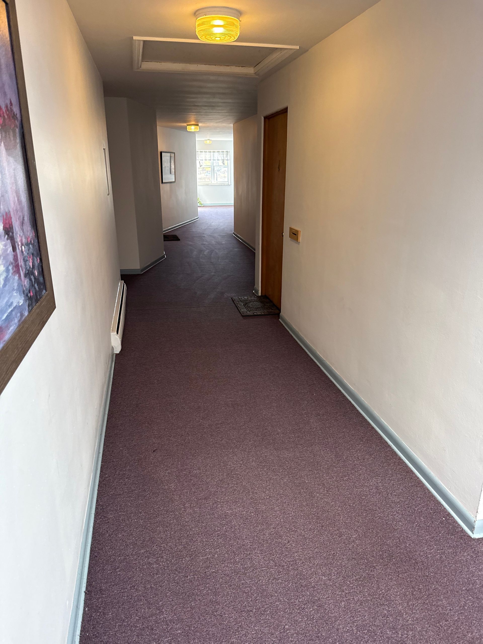 Narrow hallway with purple carpet and white walls; a door and a painting are visible.
