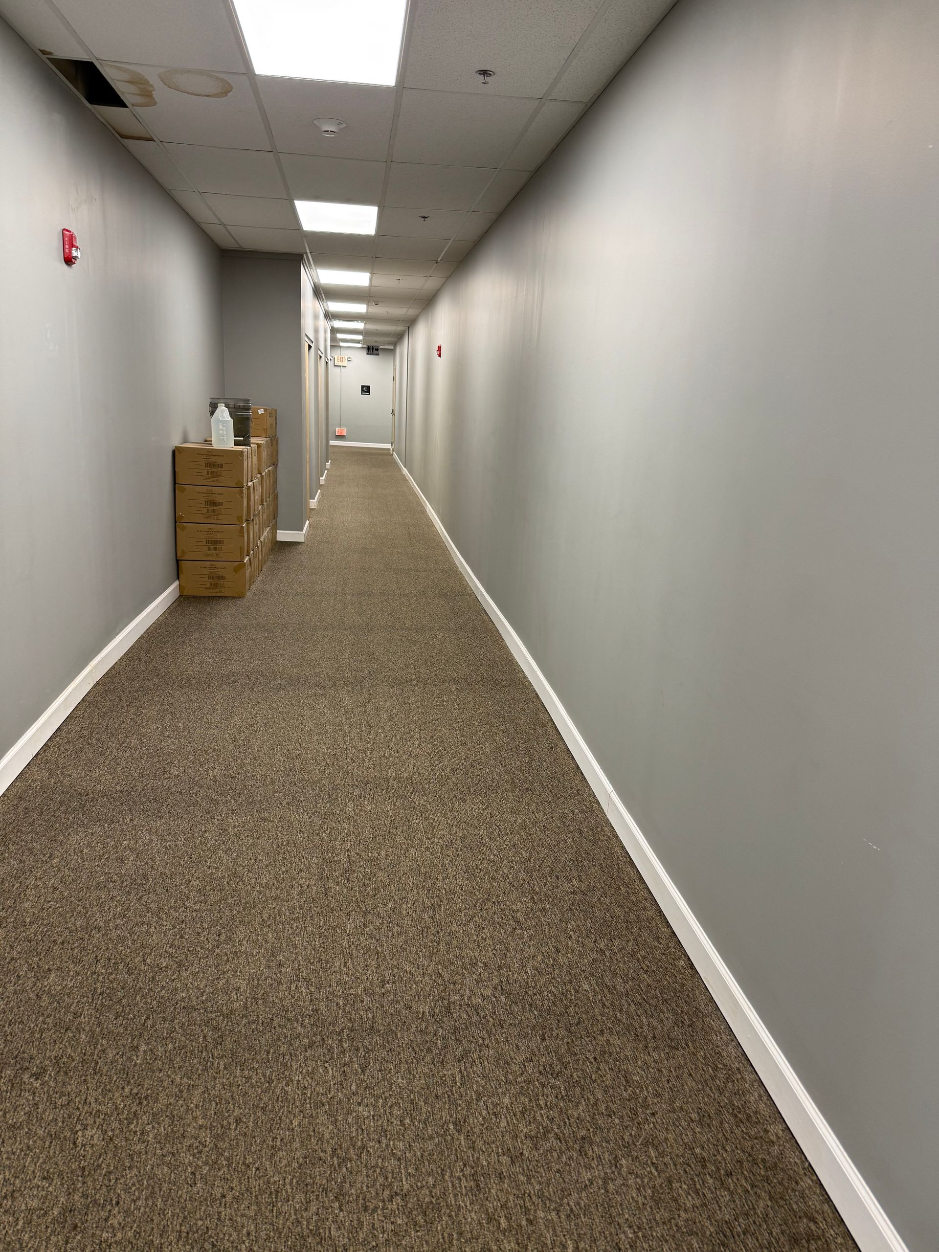 Long, narrow hallway with gray walls, brown carpet, and white baseboards.
