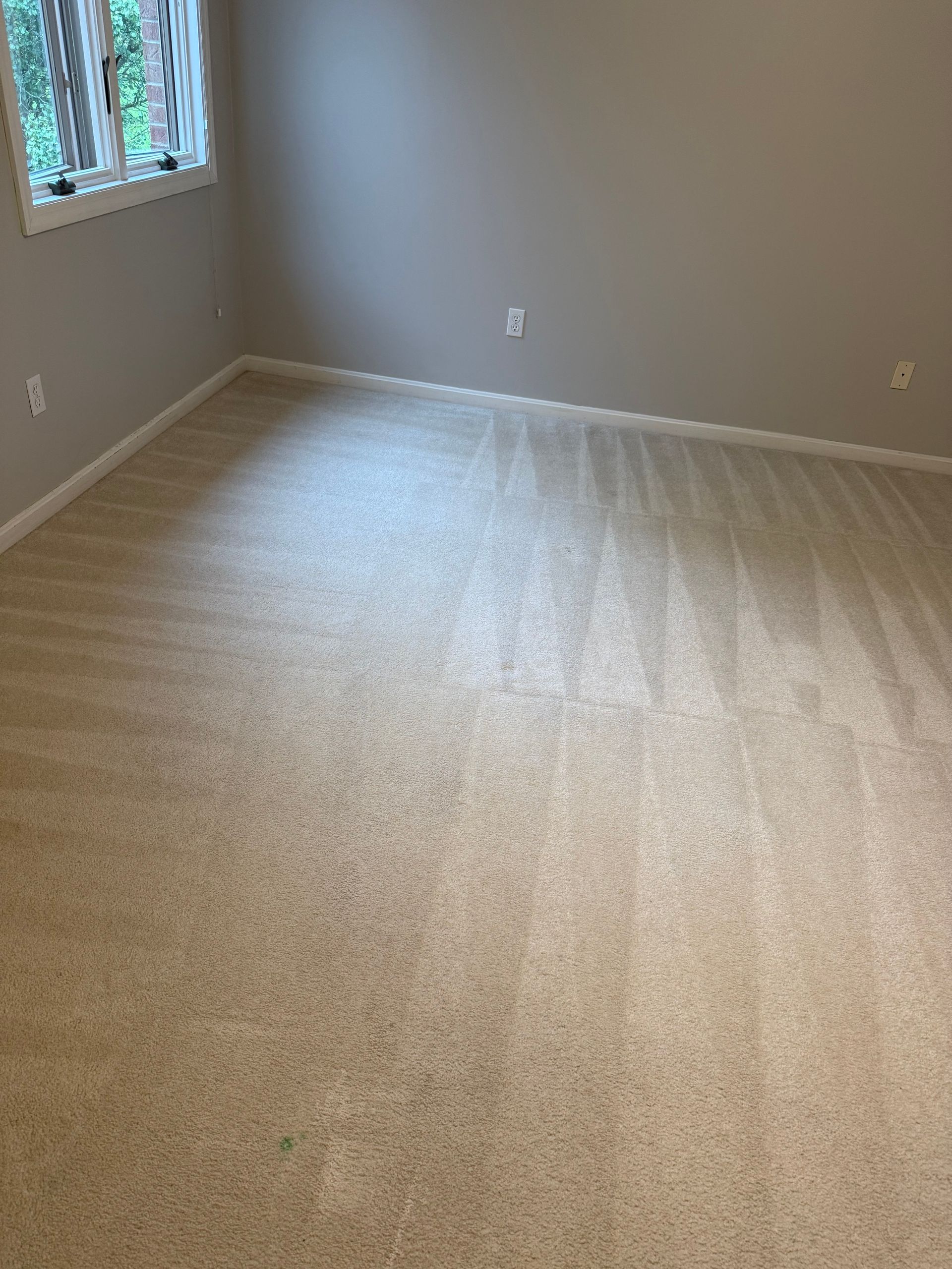 Empty room with beige carpet and neutral-colored walls. Window on the left.