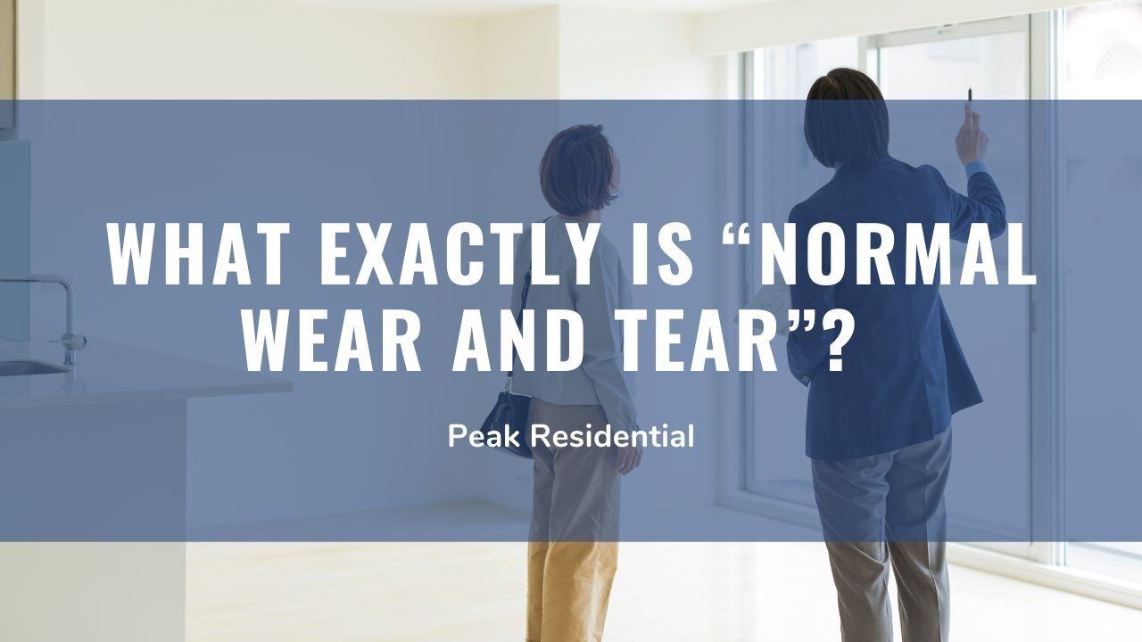What is the Difference Between Wear and Tear and Damage? – Wolford