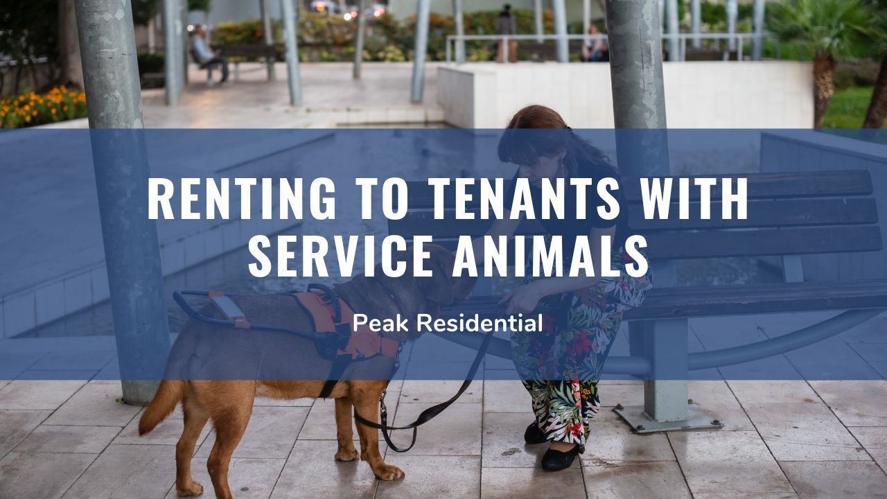 A Landlord’s Guide to Renting to Tenants with Service Animals