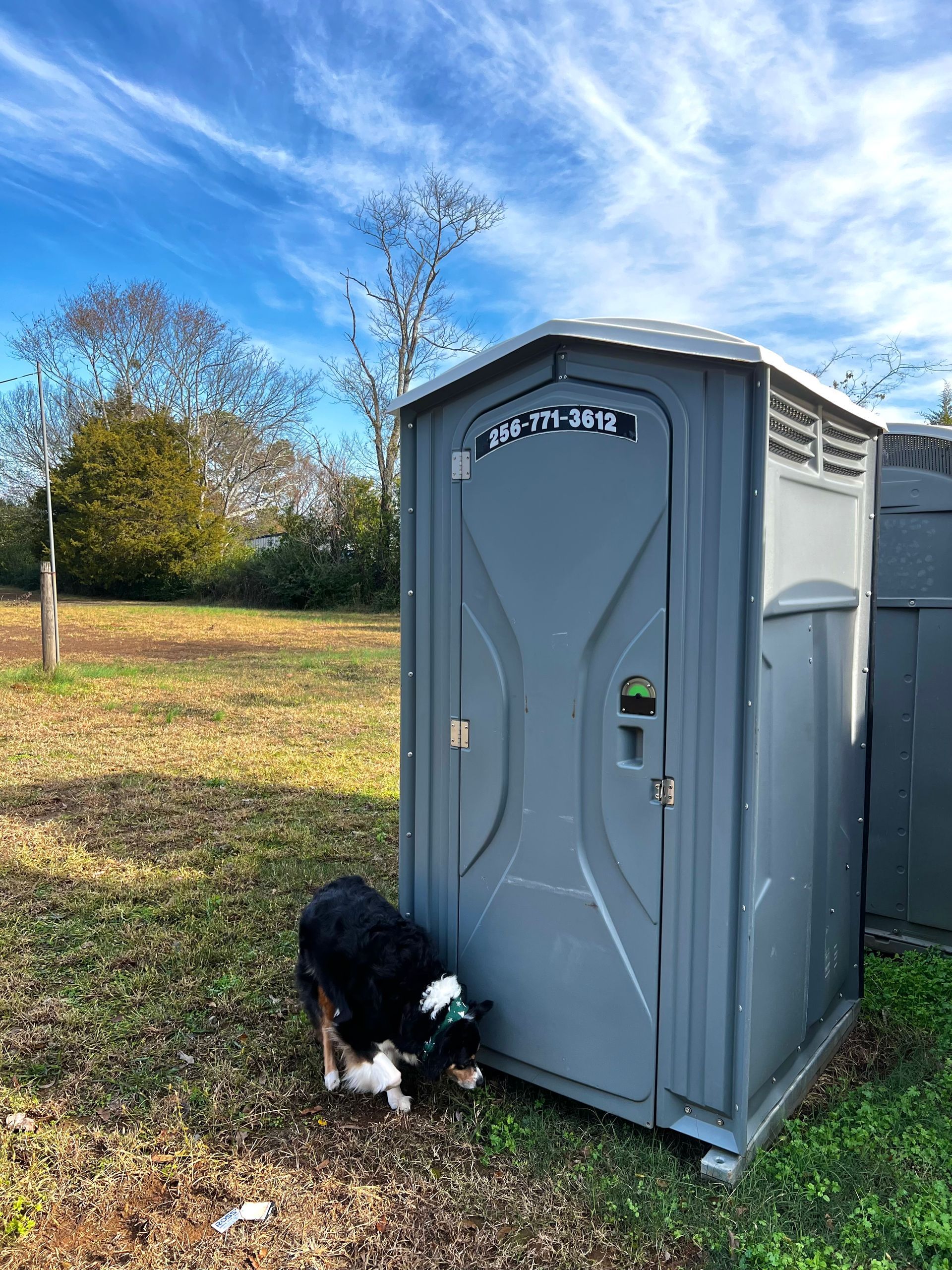 A black and white dog sniffs near a gray portable toilet in a grassy field under a cloudy sky.