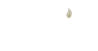 logo-image