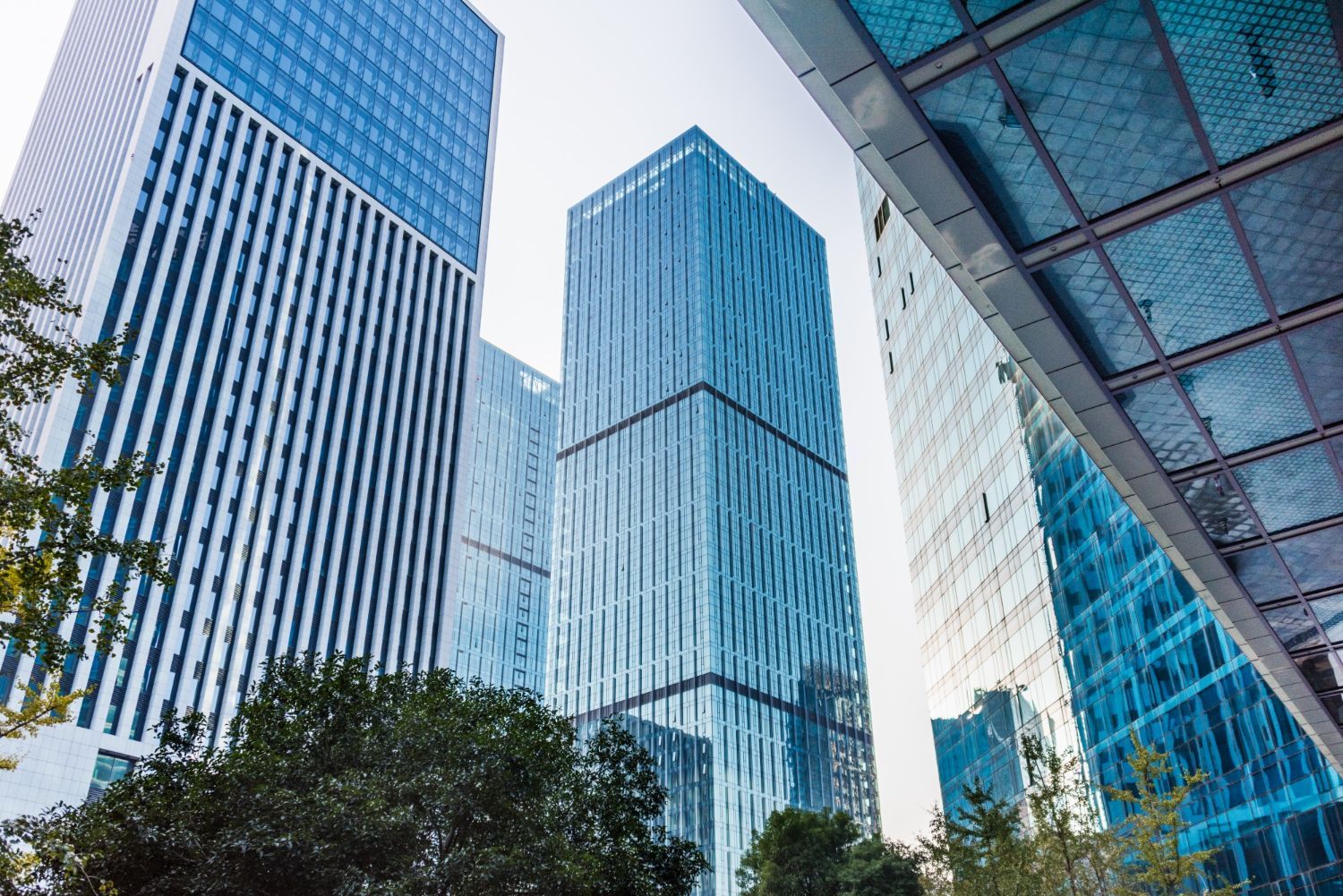 Modern glass skyscrapers rise toward a clear sky, framed by trees in the foreground and an architectural overhang.