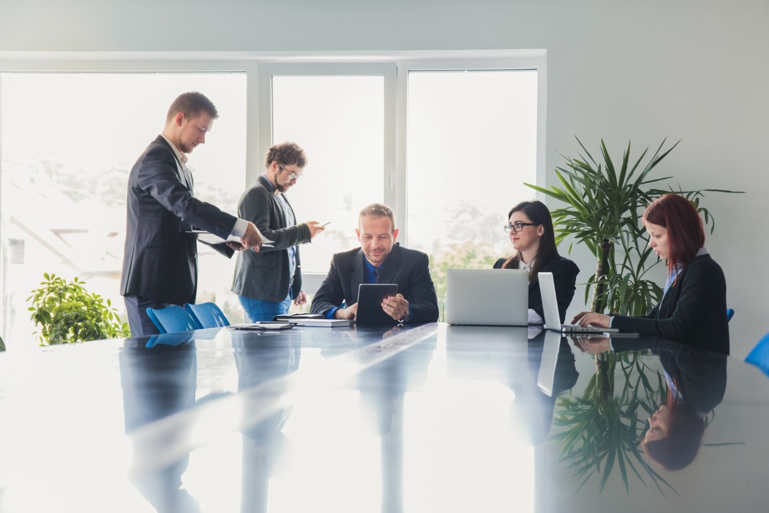 Business professionals working at a large conference table in a bright, modern office with windows and a large plant.
