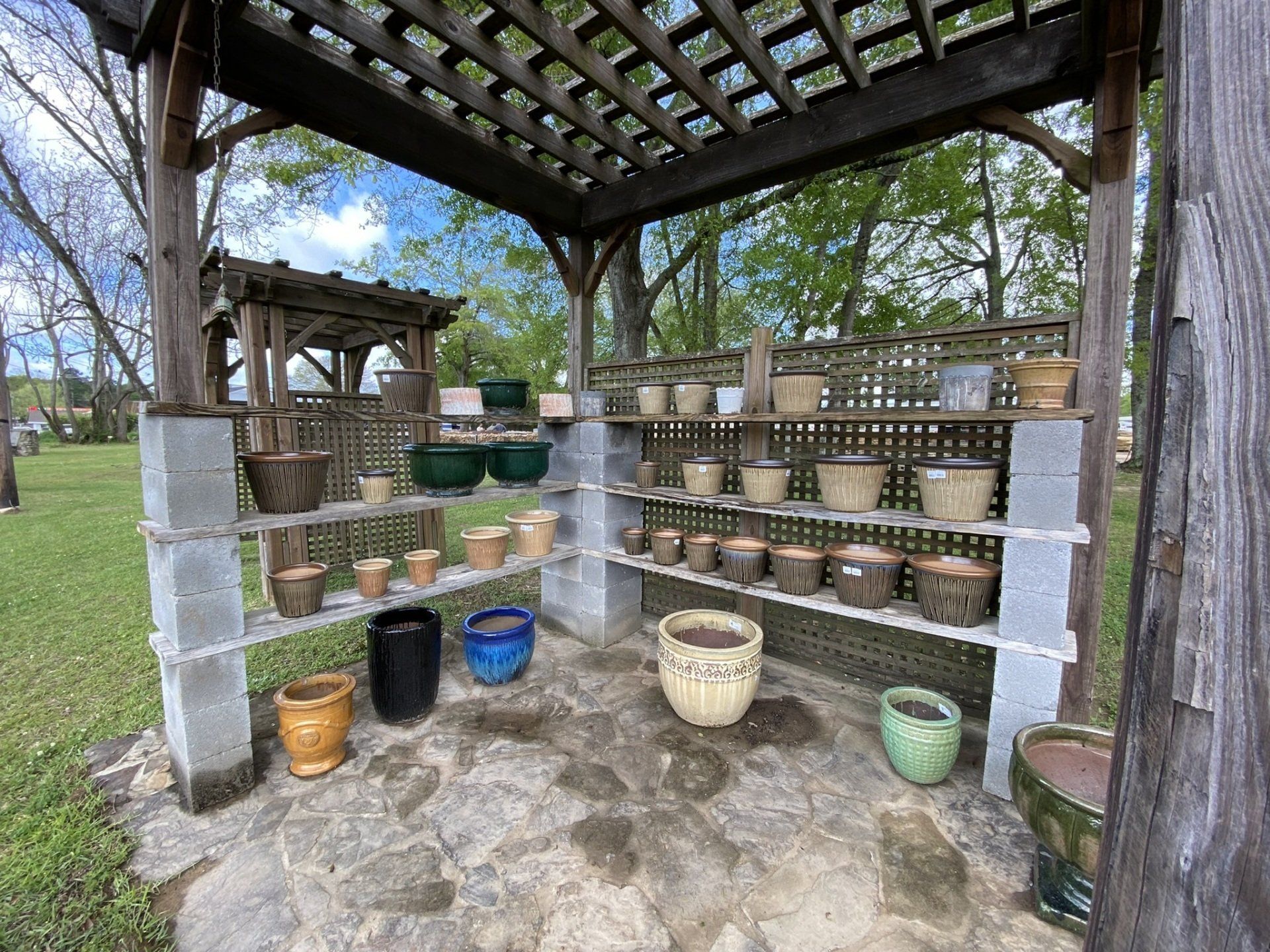 Display of various potted plants on shelves within a wooden pergola structure.