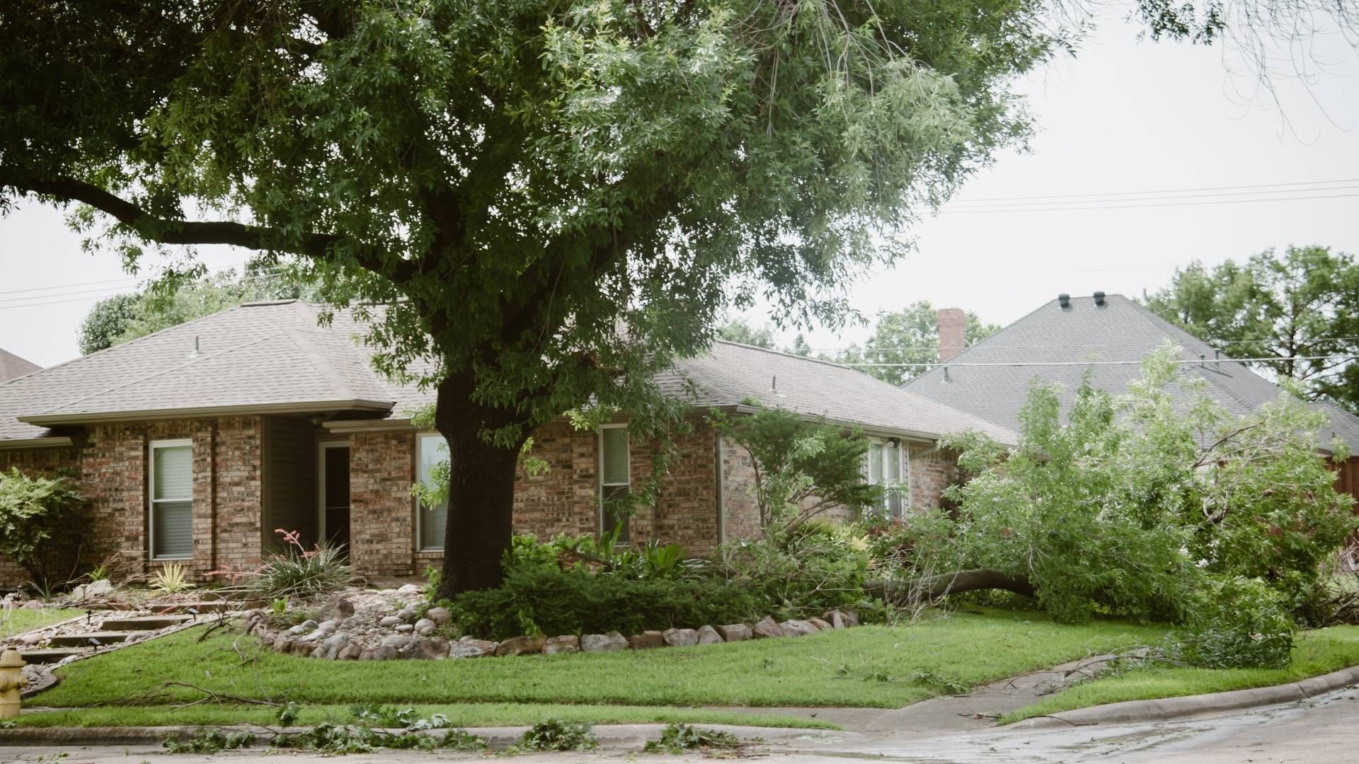 A brick house with a large tree in front of it