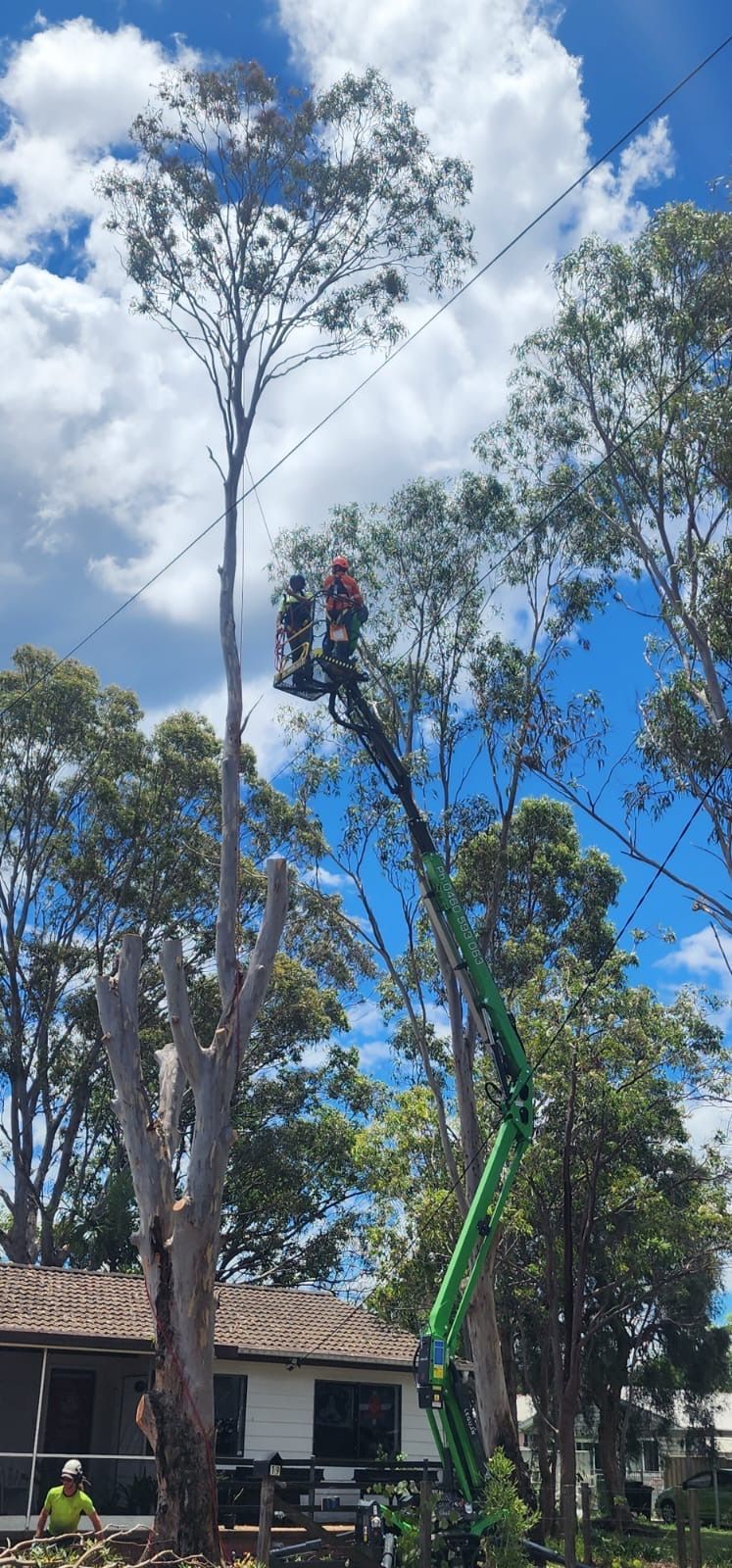A Green Crane Is Lifting  Two Men — High Work Services in Singleton, NSW