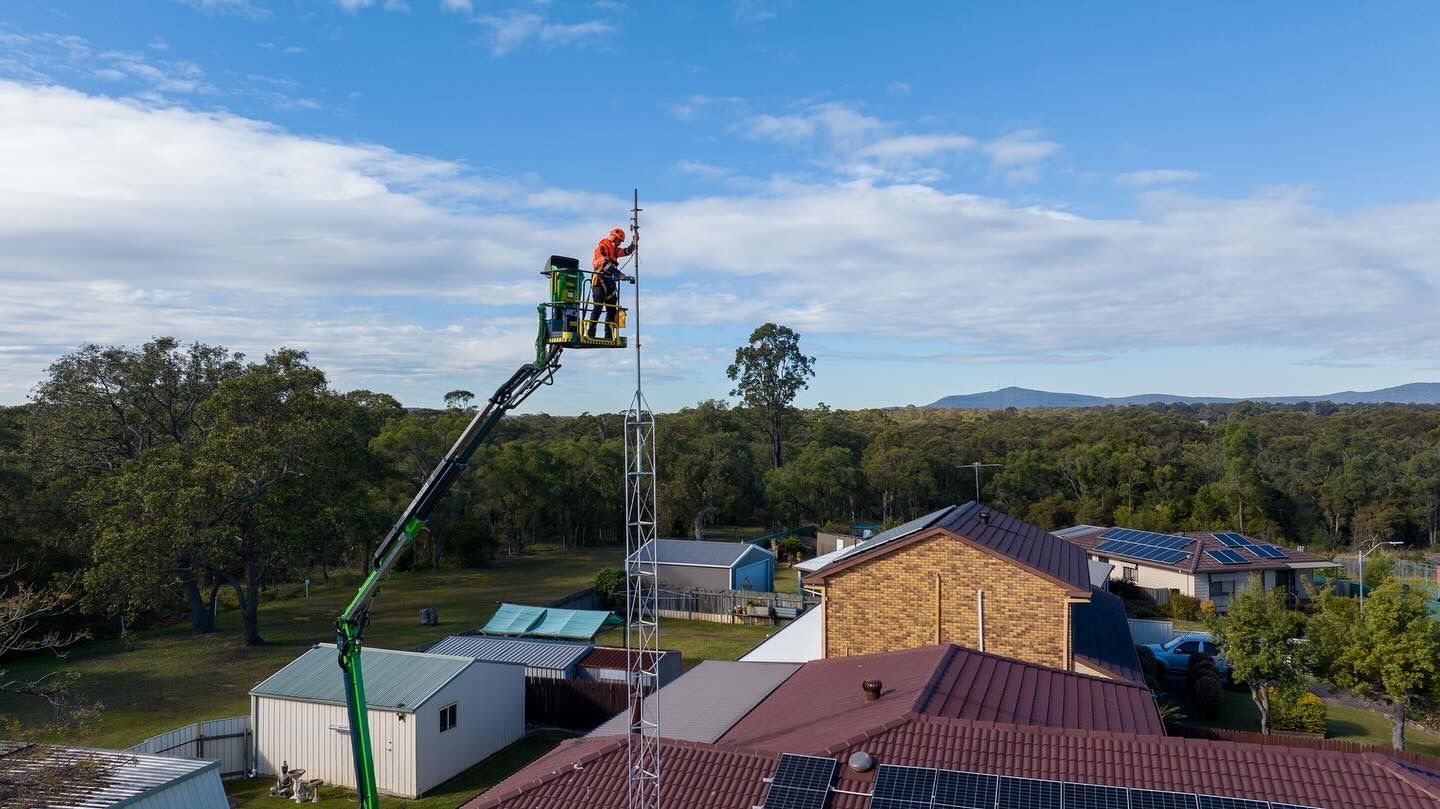 Ariel Removal 3 — High Work Services in Maitland, NSW