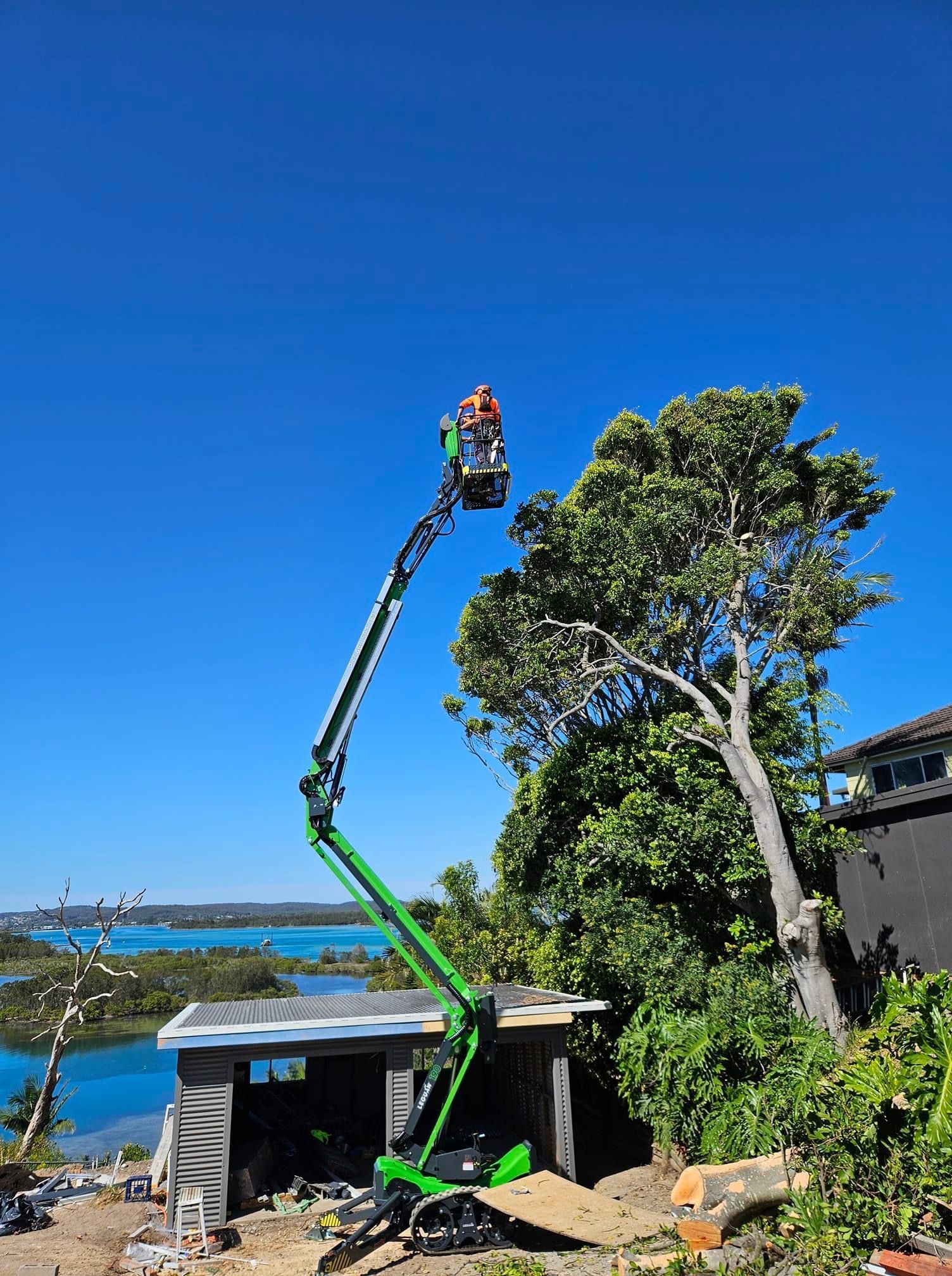 A  Scissor Lifts Working On A Tree— High Work Services in Maitland, NSW