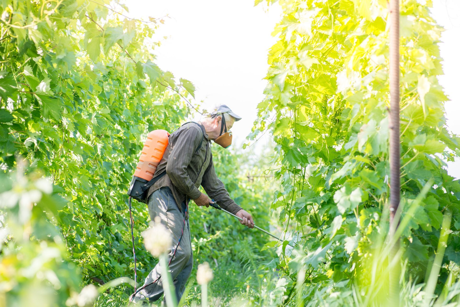 Worker Spraying Fertilizer — O’Fallon, MO — BLCS Landscape and Irrigation