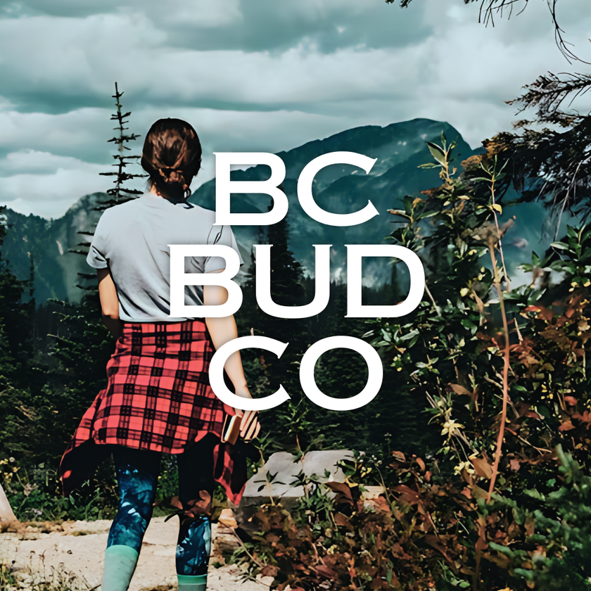 A woman in a plaid shirt is standing in front of a mountain.