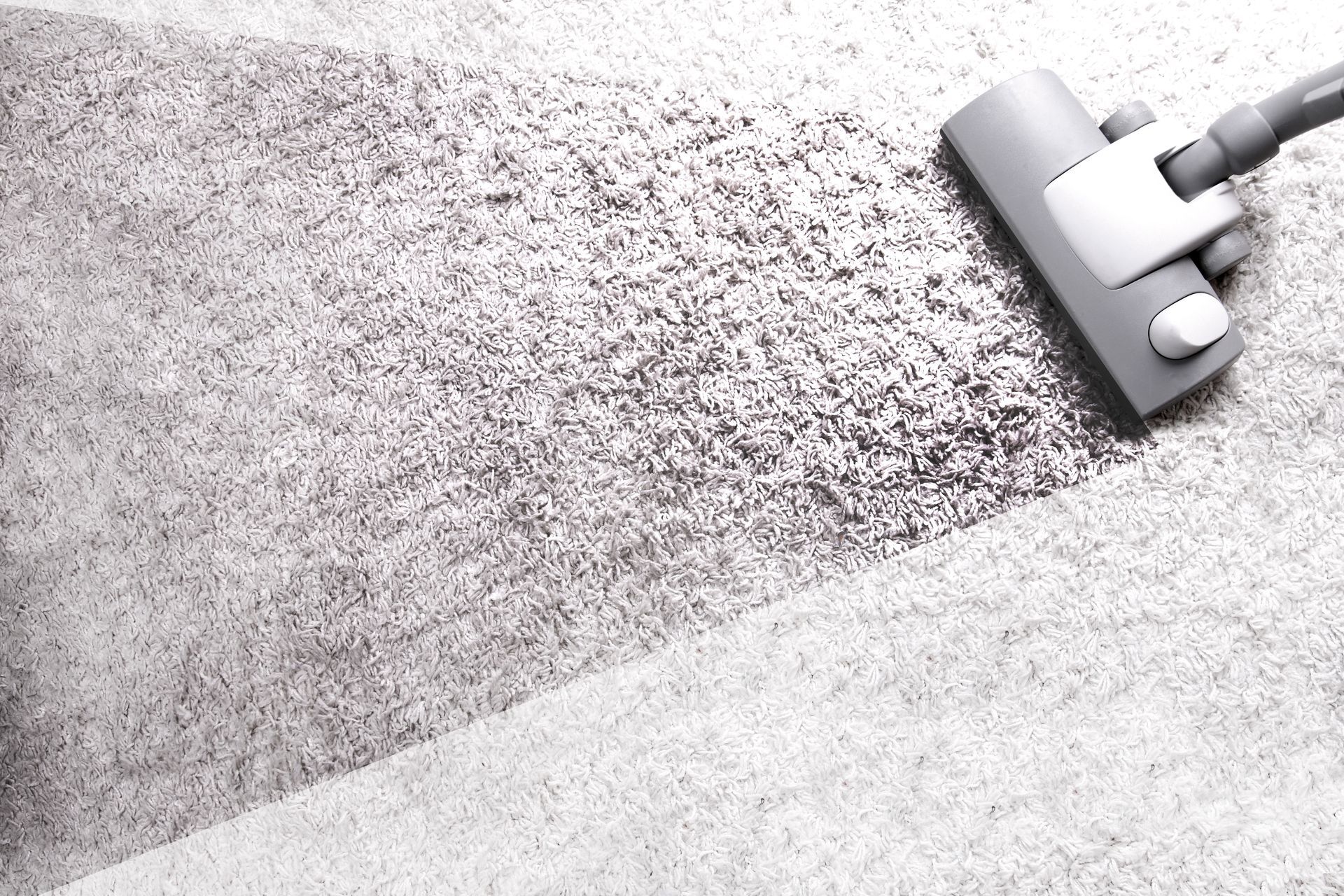 A vacuum cleaner head cleans a dirty, dark carpet, leaving behind a clean, light-colored stripe.