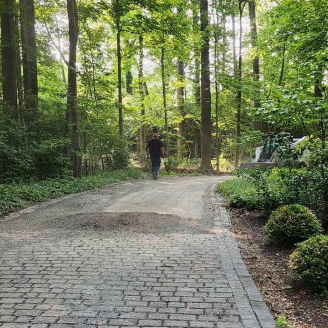 A person walks down a stone path through a green forest.