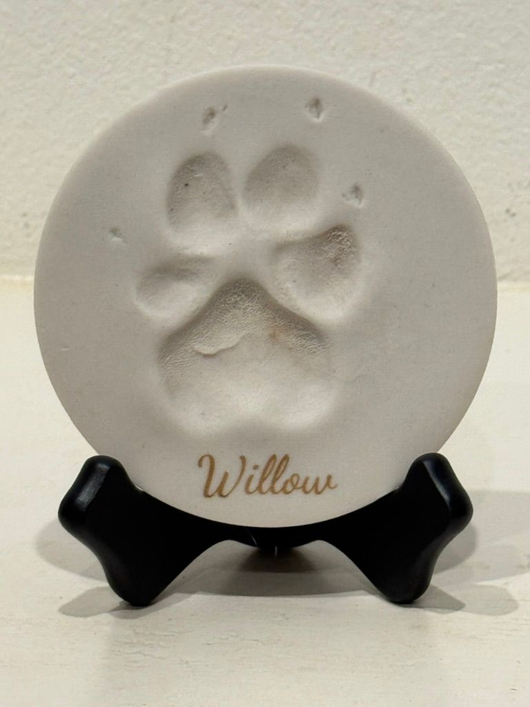 A white paw print in a plaster disc, named 