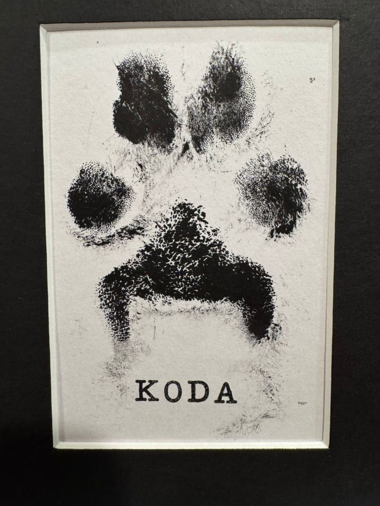 Black paw print with 