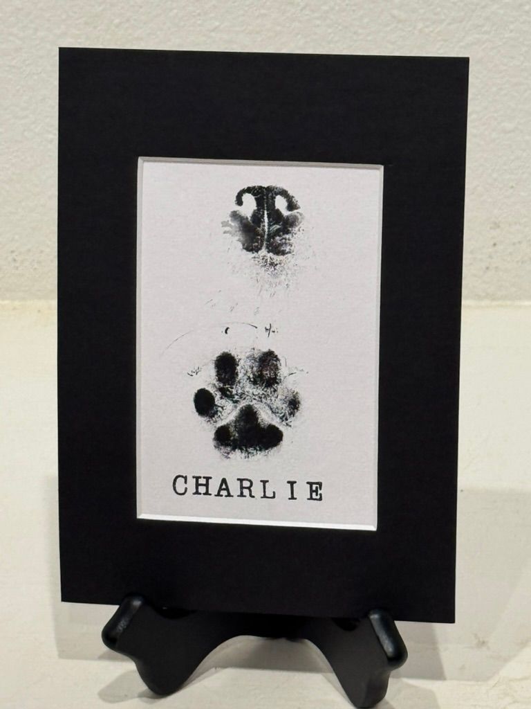 Black framed print with dog nose print and paw print above 