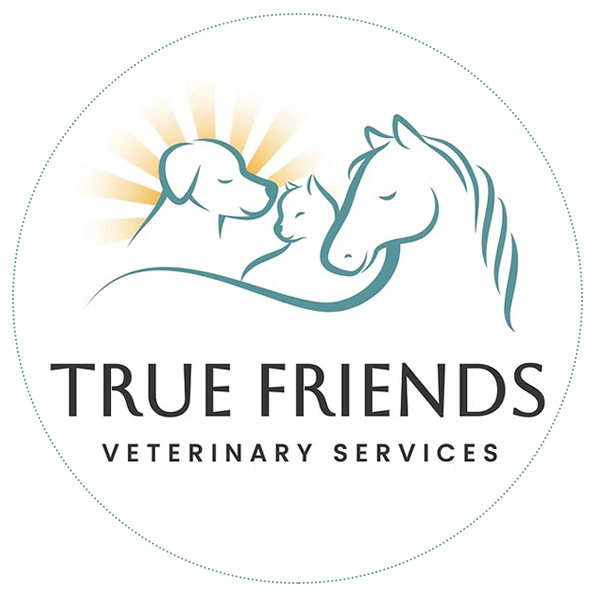Logo: Dog, cat, horse with teal outline; 
