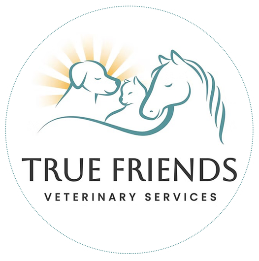Logo: Dog, cat, horse with teal outline; 
