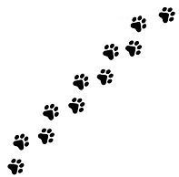 Black paw prints diagonally across a white background.