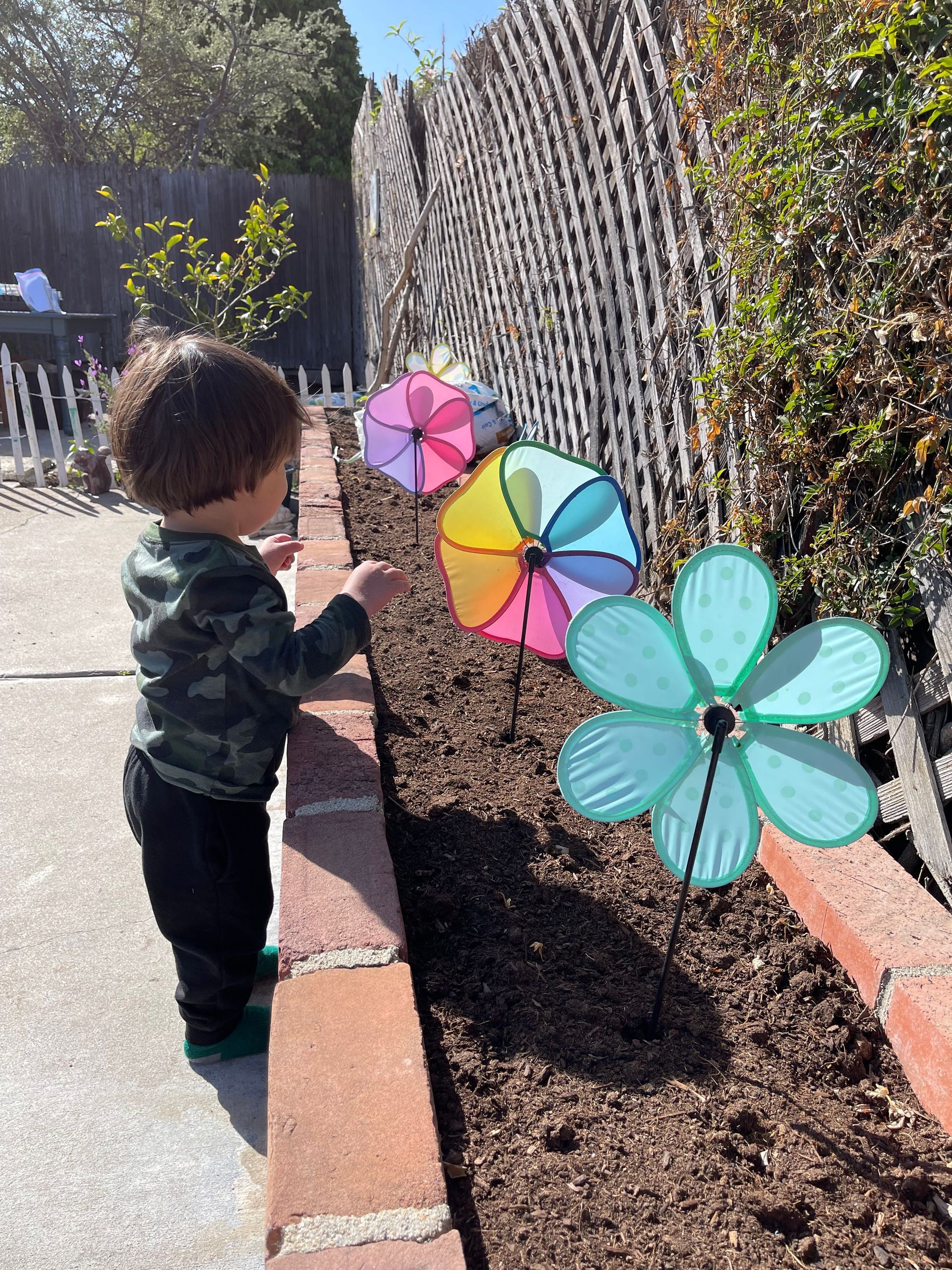 Child examines colorful pinwheels in a garden bed next to a fence.