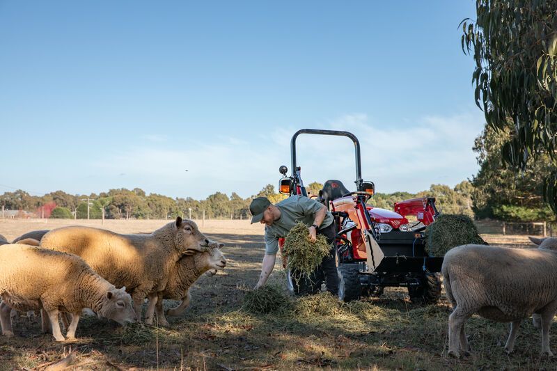 A green tractor in the middle of a tulip field at sunrise.