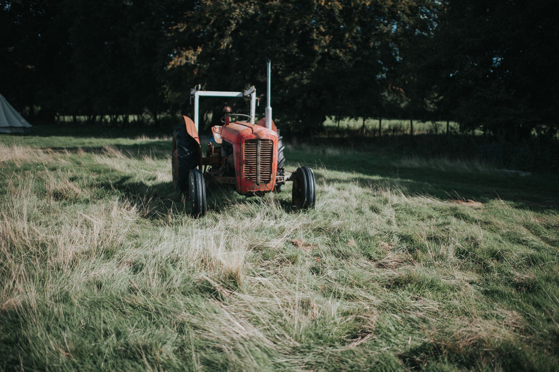 A classic, rustic red tractor with a front-end loader attachment is parked in a lush, green grassy field under a clear sky