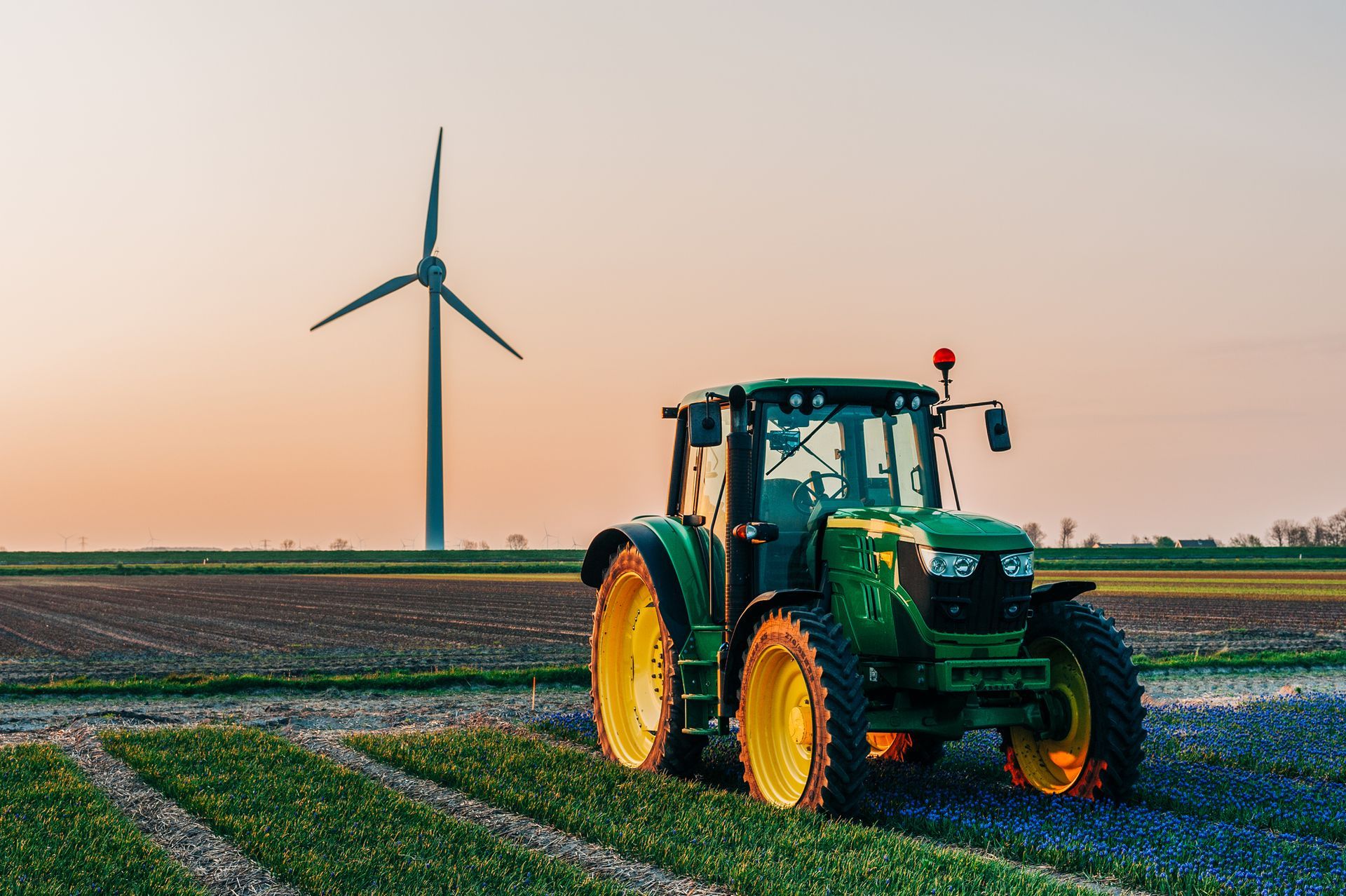 A green tractor in the middle of a tulip field at sunrise.