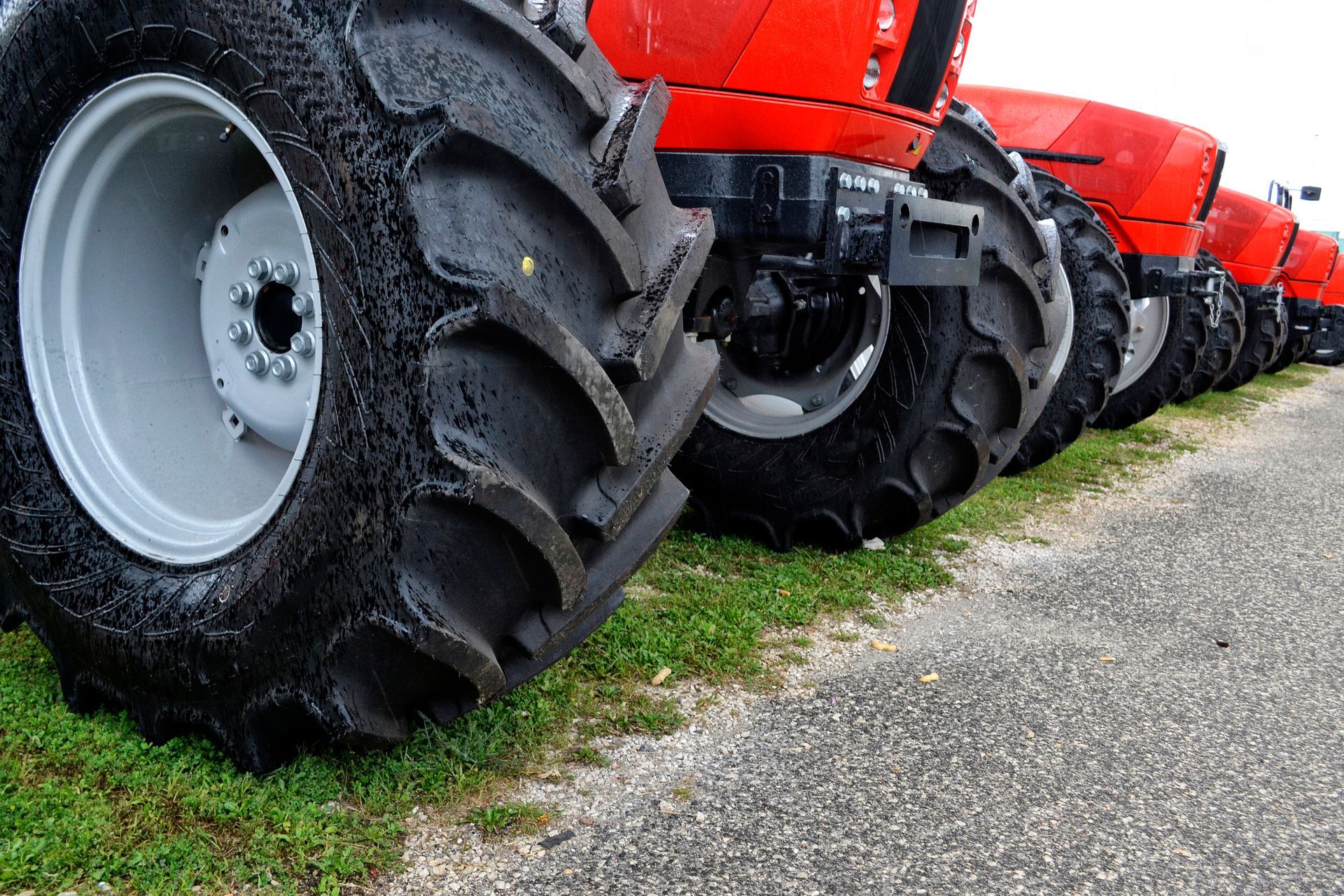 Row of large red tractors parked on grass beside a paved road.