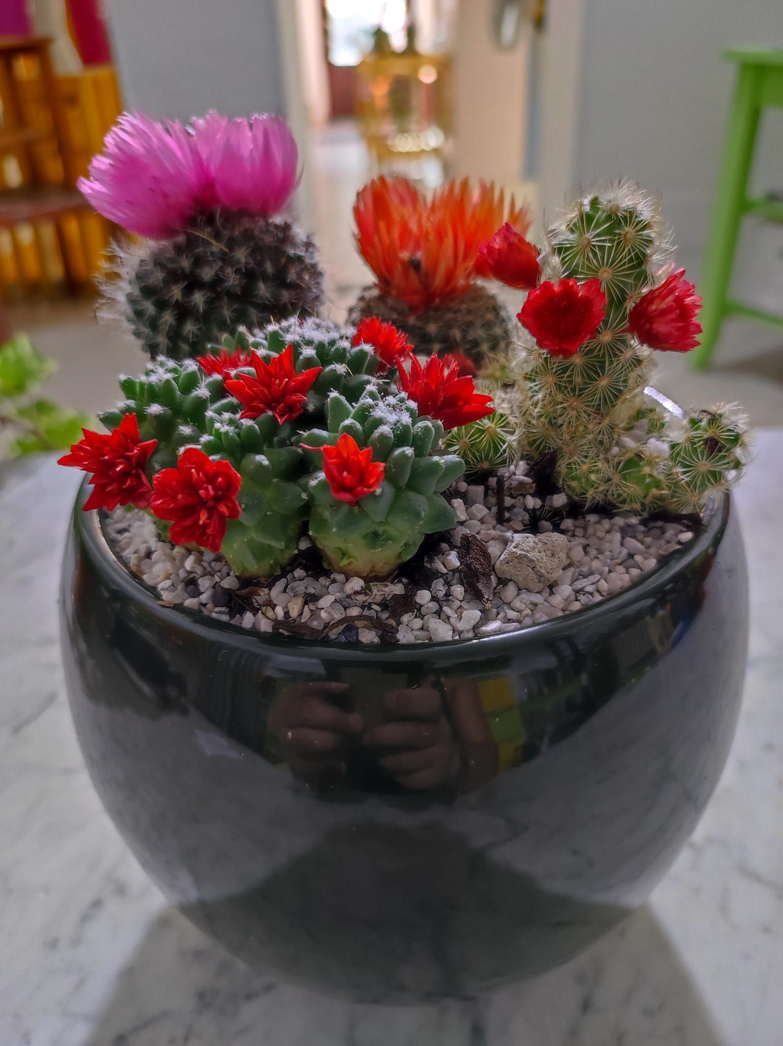 composizioni floreali in vaso