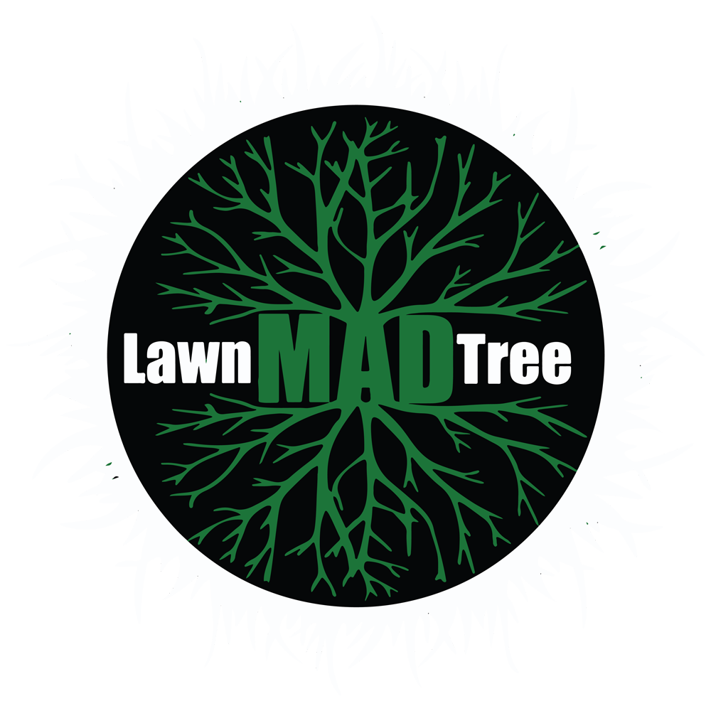 MAD Lawn And Tree LLC