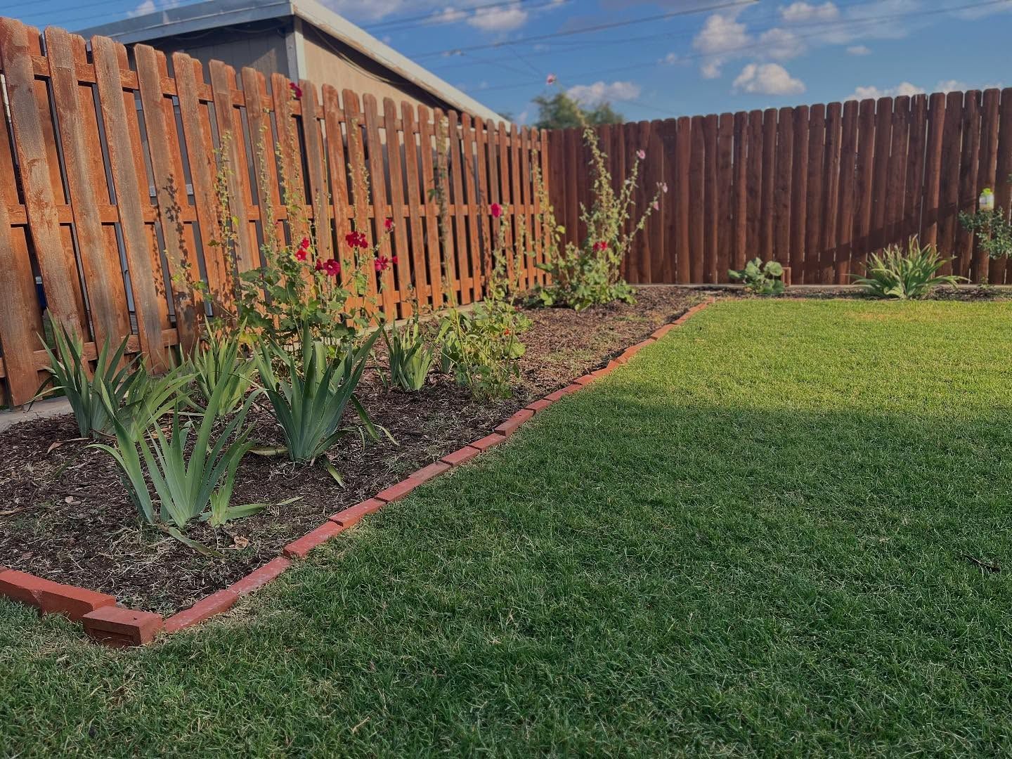 Backyard garden with a wooden fence and green grass. Red brick border surrounds the flower bed.
