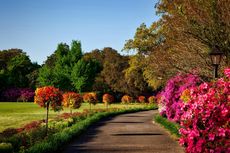 Stone path winds through a vibrant garden with colorful flowers and trees under a blue sky.