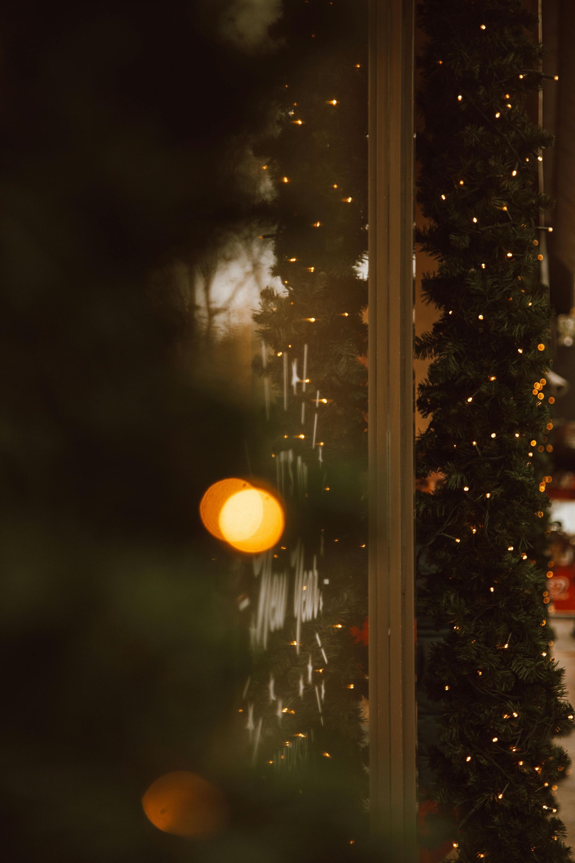 Christmas tree with yellow lights beside a building, seen through a blurred evergreen.