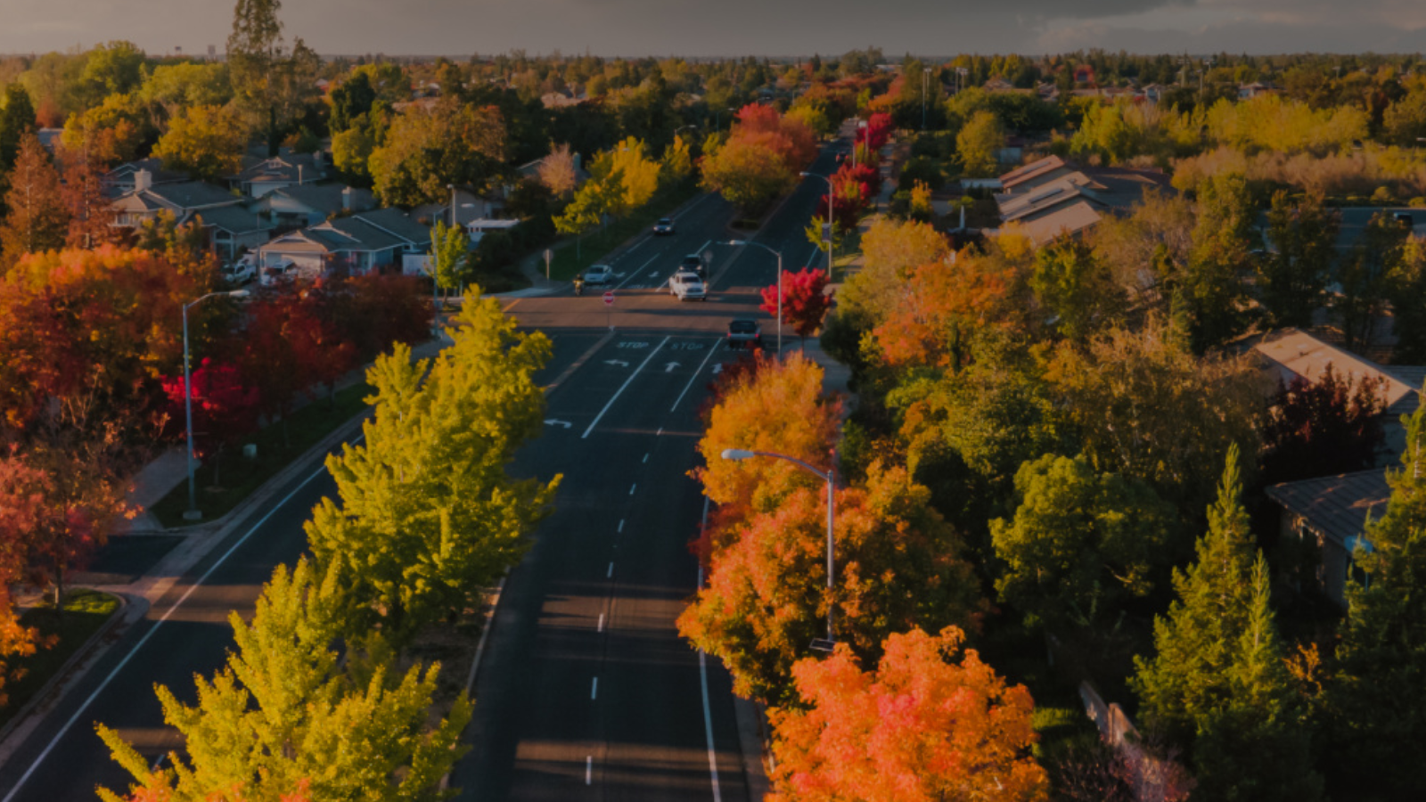 An aerial view of a city street surrounded by trees in autumn.