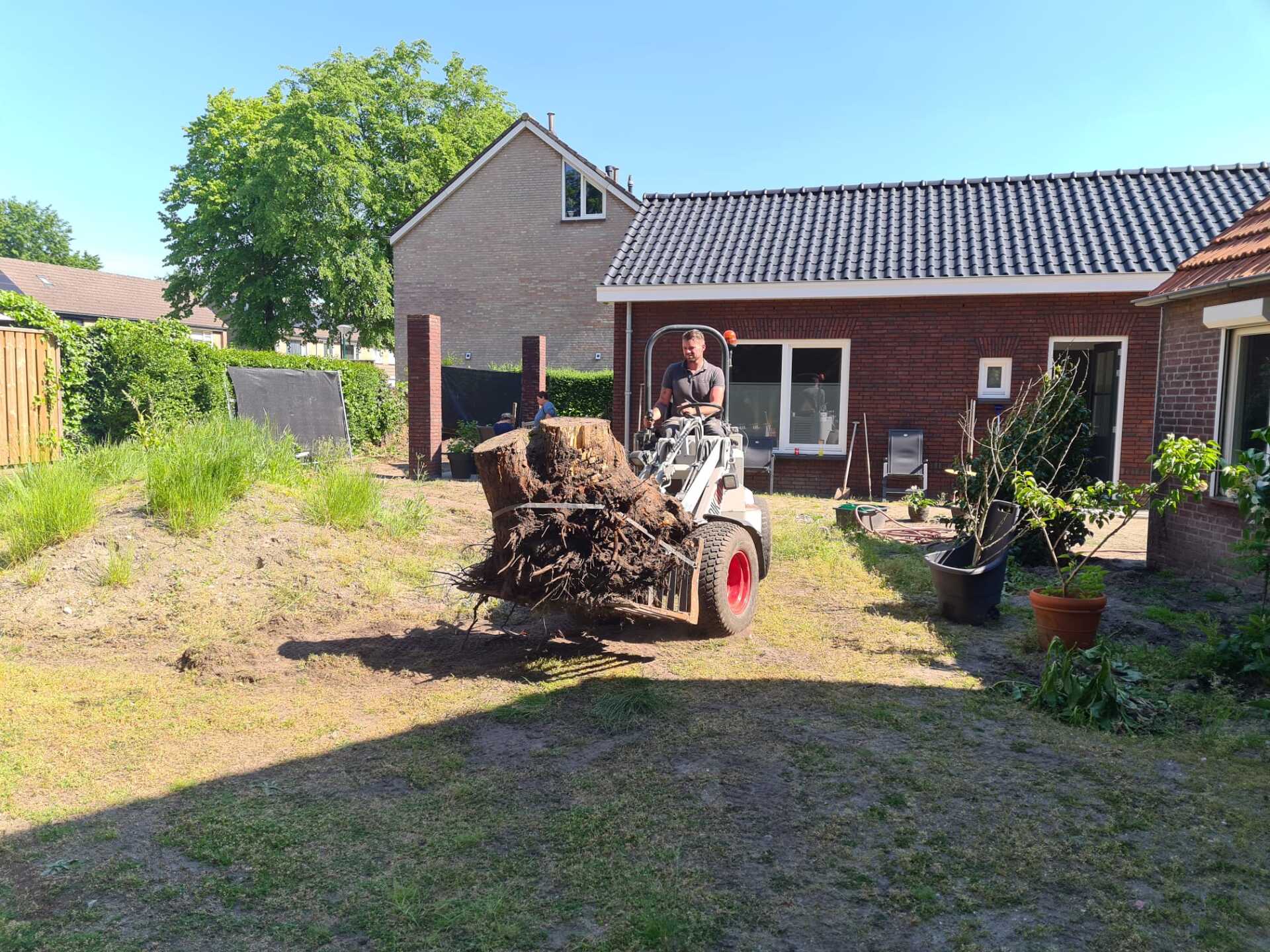 Boomstronk verwijderen Rosmalen